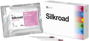 Silkroad PCL
